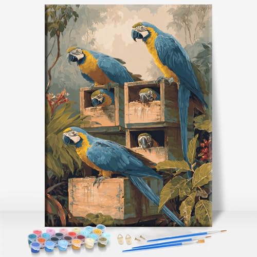 Aeontinity Colorful Macaws Animal Framed Canvas DIY Paint by Numbers Kit Bar Cafe Cave Home Room Wall Bathroom Porch Patio Decor Gift, 16 x 12 Inch - color: COLORFUL MACAWS