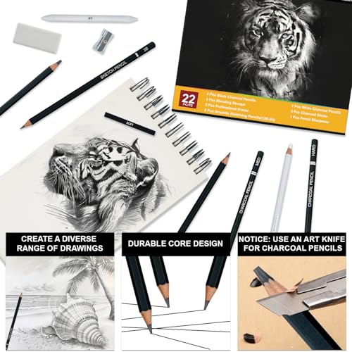 Aenir Charcoal Pencils for Drawing, 22-Piece Sketch Pencils for Drawing Set | Drawing Pencils for Sketching, Shading, Charcoal Art Supplies for Kids, Teens, Adults, Art Students, Beginners & Pro Artists.