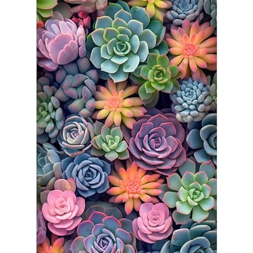 Ycydilirab Succulent Paint by Numbers Kits for Adults Beginners-Succulent Plant Paint by Number for Adult,Easy Canvas Paint by Numbers for Adults for Home Wall Decoration and Gifts 16X20 inch - color: succulent, size: 16x20in
