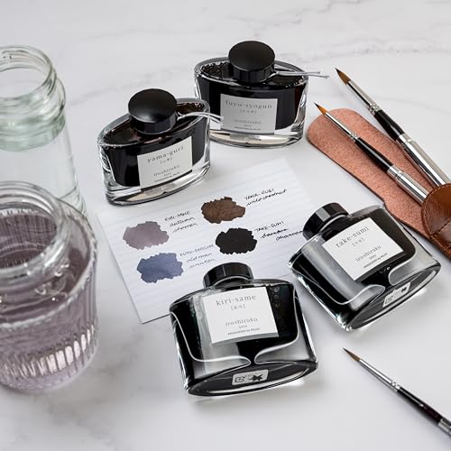 Pilot Iroshizuku Fountain Pen Ink – 50 ml Bottle – Take-sumi (Gray Black) (Japan Import), Black