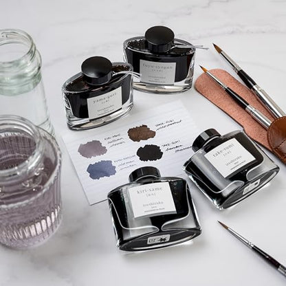 Pilot Iroshizuku Fountain Pen Ink – 50 ml Bottle – Take-sumi (Gray Black) (Japan Import), Black
