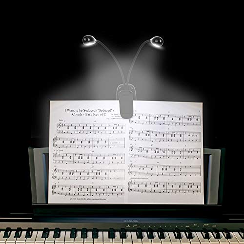 2 Pack Music Stand Light, Clip on Piano Light, USB and AAA Battery Operated, Eye Caring LED Book Lights, 2 Arm x 2 Brightness Levels, Ideal for Piano, Sheet Music, Orchestra, Guitar - size: 2 Pack