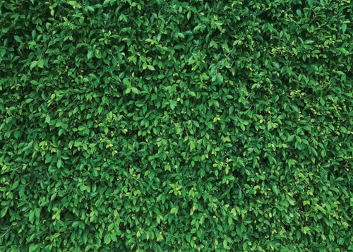 9x6Ft Green Leaves Grass Lawn Party Photography Backdrop - Greenery Decoration for Birthday, Newborn Baby Shower, Wedding - size: 9X6Ft
