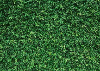 9x6Ft Green Leaves Grass Lawn Party Photography Backdrop - Greenery Decoration for Birthday, Newborn Baby Shower, Wedding - size: 9X6Ft