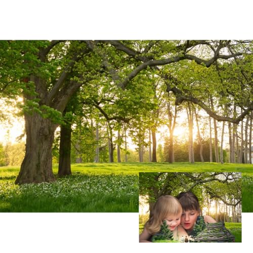 10x5ft Garden Spring Scenery Backdrop Rainforest Tropical Grassland Flower in the Sunlight Nature Landscape Green Tree Photo Background for Camping Picnic Outdoor Party Bedroom Living Room - size: 10x5ft-polyester
