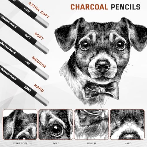Geyoga 36 Pcs Charcoal Drawing Set Black White Brown Charcoal Pencils for Sketching, Shading, Blending, Portrait, for Beginners & Artists