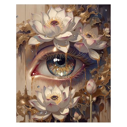 AUKELHJ Paint by Numbers Kit for Adults Beginner, Eye, 16X20 Inch - color: 10-Eye