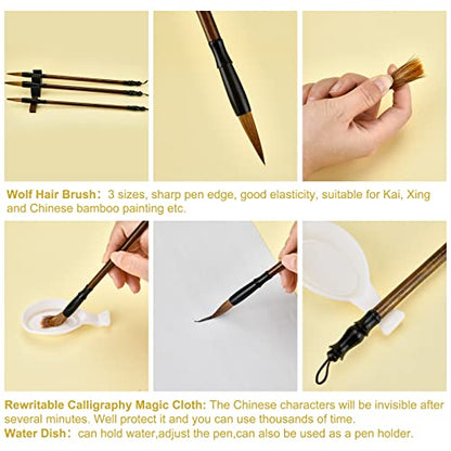 PH PandaHall 14pcs No Ink Chinese Calligraphy Set, Reusable Water Writing Cloth Paper, Chinese Traditional Calligraphy Brushes and Water Dish for Beginners Practice Chinese New Year, 17x13 Inch - color: White