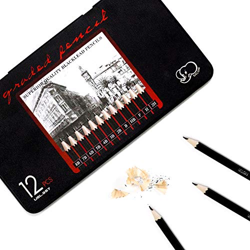 Professional Sketch pencils Drawing pencils set for Kids and Adults,Art sketching pencils for Artists Beginner(8B-2H).(12-Count) - size: 1 Count (Pack of 12)