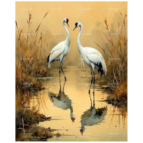 Bird Wildlife Paint by Numbers Kit for Adults - DIY Red-Crowned Cranes by Sunset Marsh Painting on Canvas 16x20 Inches, Acrylic Paint Set,Suitable for Beginners,Art for Home Decoration/Gifts - color: FM05075, size: 40×50cm Unframed
