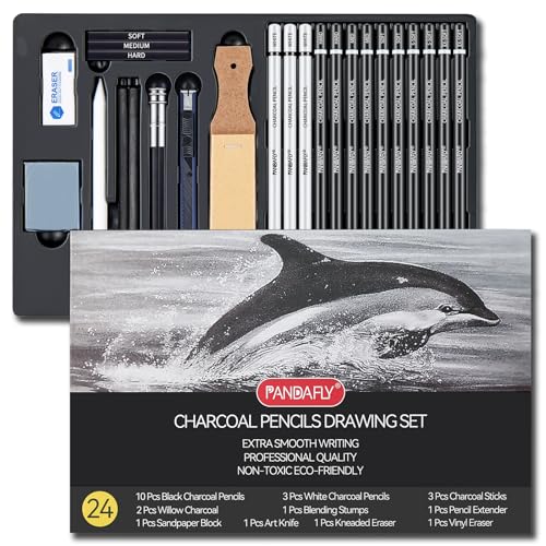 PANDAFLY Professional Charcoal Pencils Drawing Set, 24 Pcs | Black & White Charcoal Pencils for Drawing Sketching Shading Blending, Charcoal Drawing Set for Beginners & Pro Artists - color: Black, size: 1 Count (Pack of 24)