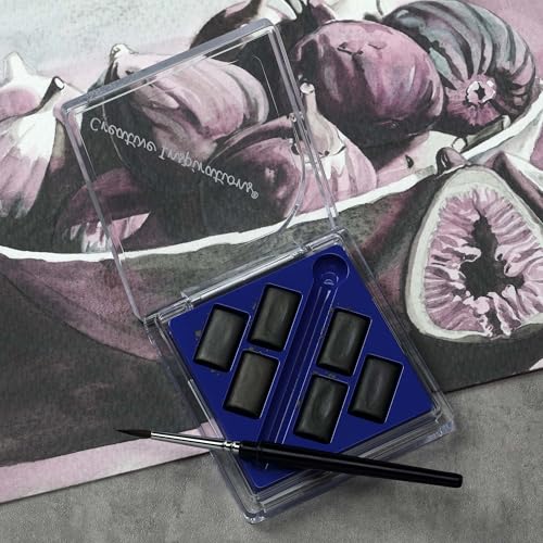 Creative Inspirations Professional Watercolor Paint Set 2 Pack - Compact Graphite Half Pan Travel Sets of 6 with Mini Brush - color: Graphite, size: 6 Count (Pack of 2)