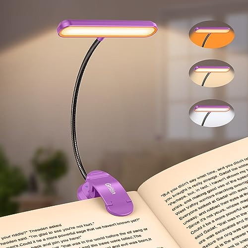 Gritin Rechargeable Book Light for Reading in Bed with 19 LED | Eye Caring 3 Color Temps, 5 Brightness Levels, Memory Function, 90 Hrs Runtime Flexible Goose Neck Clip on Light-Dark Purple - color: Dark Purple