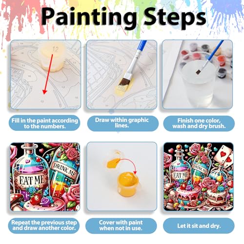 Paint by Numbers Kit for Adults, Adult Paint by Number Kits 16x16 Inch - color: Bottle