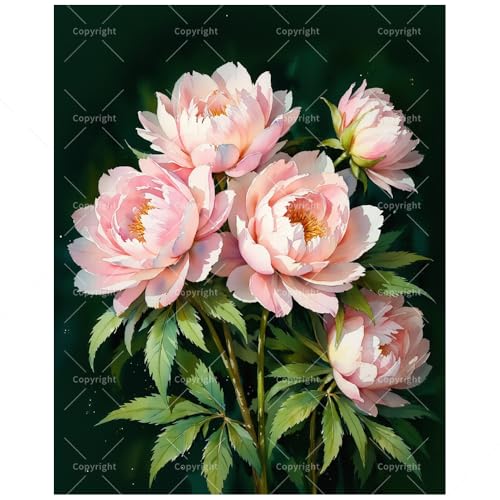 Floral Art Paint by Numbers Kit for Adults - DIY Pink Peonies Bouquet Painting on Canvas, Acrylic Paint Set, Suitable for Beginners, Elegant Art for Home Decoration or Gifts(16X20IN Framed) - color: HSX00046, size: 16X20IN Framed