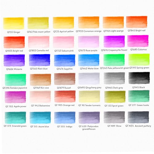 Watercolor Pens Set, 36-Color Dual Tip Professional Watercolor Markers for Adults, Water-Based Coloring Markers with 1 Aquapen, 1 Colorless Blender, 1 Black Marker, and 12-Page Pad, Art Supplies - color: 36+3 Colors