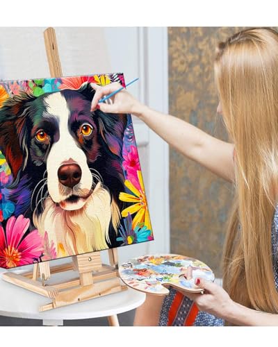 Blissroot Framed Paint by Numbers Kit for Adults Beginner&Kids Ages 8-12, 12x12inch Border Collie Paint by Numbers with Frame, Large Dog Paint by Number Framed Canvas (Without Easel) - color: BR021F, size: 12"x12"
