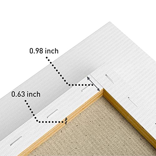 GOTIDEAL Stretched Canvases for Painting, 12x12 Inch Set of 7, Primed White - color: White, size: 12"x12"