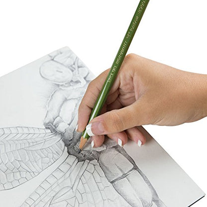 Tombow 8900 Drawing Pencil, B,Graphite 12-Pack - style: B