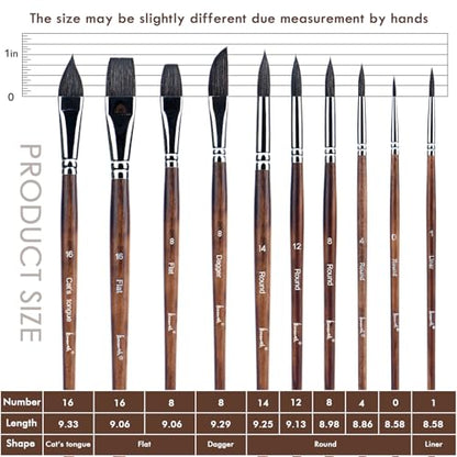 Brusarth Watercolor Brushes, Synthetic Squirrel Hair Paint Brush Set | 10 Pcs Soft Synthetic Squirrel Paint Brushes, Including Pointed Rounds, Flats, Dagger, Cats Tongue, Oval Wash