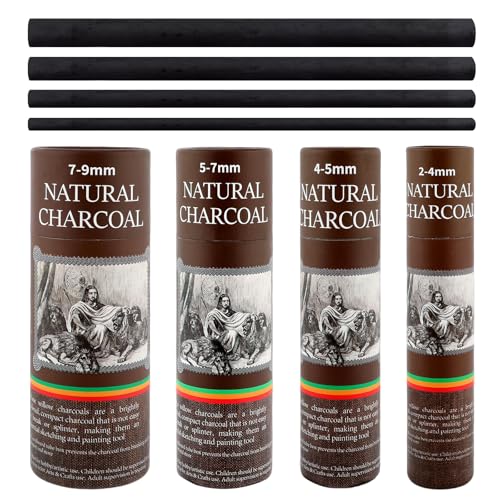 100 Pcs Willow Charcoal Sticks,4 Size Natural Charcoal Art Supplies for Artists,Beginners,Students,Perfect for Drawing,Sketching,Shading, and Fine Art Christmas Gifts(2-4mm/4-5mm/5-7mm/7-9mm)