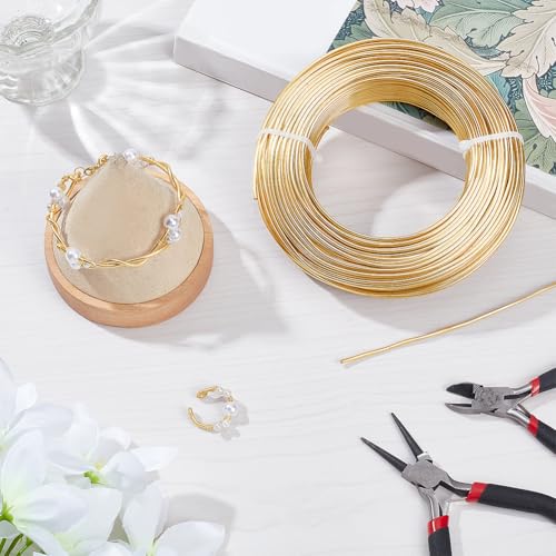 BENECREAT 180 Feet 12 Gauge Jewelry Making Craft Wire Aluminum Wire Bendable Metal Sculpting Wire for Bonsai Trees, Floral, Arts Crafts Making, Light Champagne - color: Light Champagne