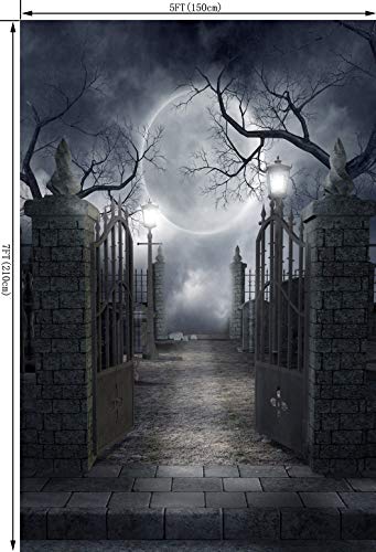 5X7FT Halloween Theme Pictorial Cloth Customized Photography Backdrop Background Studio Prop TP17A - size: 5'x7'