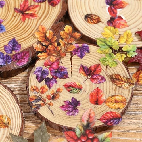 150 Pcs Fall Leaf Stickers for Scrapbooking and Journaling | PET material with colorful leaf, branch and berry designs for junk journals, collage, planners, card making and DIY crafts - color: Leafy Branches