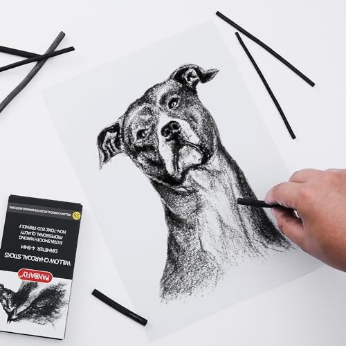 PANDAFLY 25 Pack Willow Charcoal Sticks, 4-5mm, Black Artist Vine Charcoal - size: 4-5mm