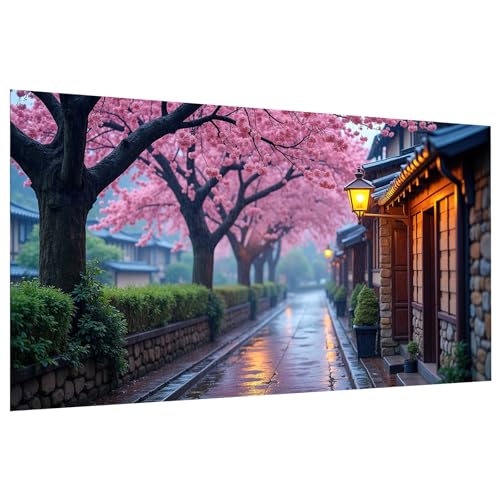 JOOZ Large Diamond Painting Kits for Adults Street Scene, 27.5x15.7 Inch | DIY 5D Diamond Art Kits for Adults, Full Drill Diamond Painting, Sakura Gem Art Kits for Gift, Home Wall Decor - color: Street Scene 037