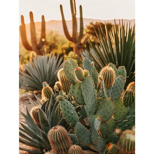 Cactus Diamond Art Kits for Adults, Diamond Painting for Beginner 5D DIY | Cactus Diamond Dots Full Drill Crafts for Gem Art Dot Art for Adults Home Wall Decor for Teens Boys Girls 12x16inch - color: DP-27