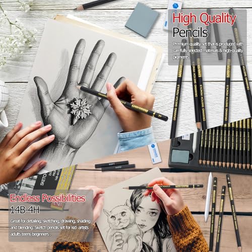 PANDAFLY Drawing Sketching Pencil Set, 20 Piece, 4H-14B Graphite Pencils | Pro Art Pencil Kit with Charcoal Sticks, Erasers, Sharpener, Blending Stump, Artist Pencils For Beginners & Pro Artists