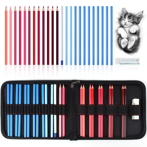 Professional Drawing Set,12 Colored Pencils,12 Graphite Pencils,Eraser,Case - color: Set-Red