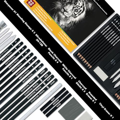 Aenir Charcoal Pencils for Drawing, 22-Piece Sketch Pencils for Drawing Set | Drawing Pencils for Sketching, Shading, Charcoal Art Supplies for Kids, Teens, Adults, Art Students, Beginners & Pro Artists.