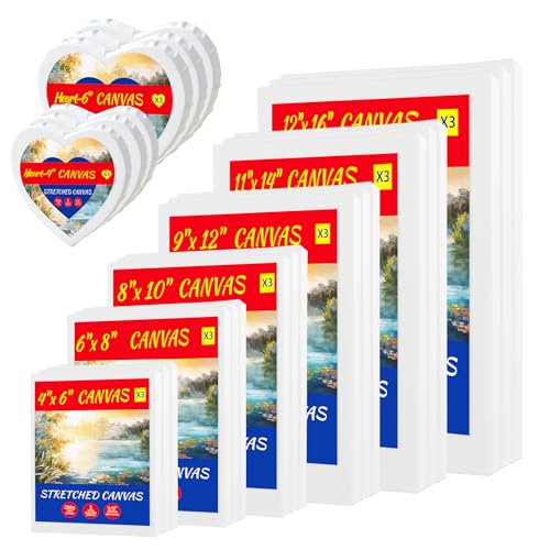 24-Pack Stretched Canvas 8 Sizes 100% Cotton for Acrylic Oil Mixed Media | 100% cotton with natural cottonseed husk, 5/8" deep profile, triple-gesso acid-free white canvas - size: 12"x16", 11"x14", 9"x12", 8"x10", 8"x6", 4"x6"