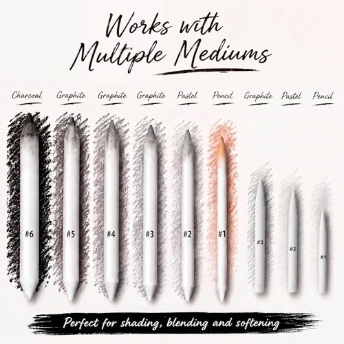 Fulmoon 432 Pcs Blending Stump and Tortillion Set Paper Art Blenders for Drawing Sketch Shading Pencil Oil Pastel Blender Tools Drawing Supplies for Artists Students and Beginners (Assorted) - style: Assorted