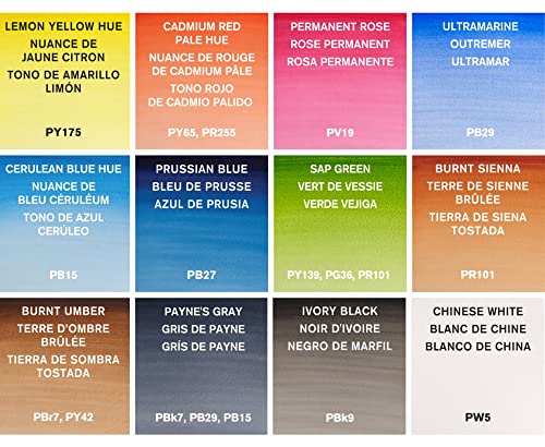 Winsor & Newton Cotman Watercolor Paint Set, 12 x 8ml Tube Travel Set | Watercolor Paint made with Fine Art Pigments, Transparent Color, Lightfast & Permanent, Good Tinting Strength - style: 12 Tube Travel Set 8ml