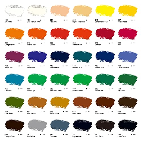 PHOENIX Oil Paint Set - 36x12ml/0.4 Fl Oz Tubes, Non-toxic Oil Based Paints for Canvas Craft Painting, Oil Painting Supplies for Artists, Adults, Beginners - color: 36 Colors x 0.4 fl oz