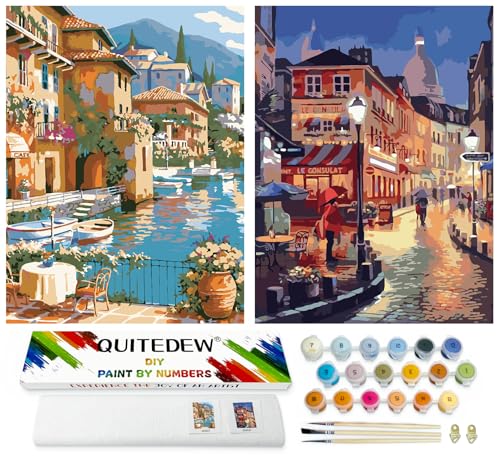 QUITEDEW 2 Pack Paint by Numbers Kit for Adults,Paint by Number Kits for Beginner,DIY Oil Painting for Adults in Colorful Box Town for Gifts and Home Wall Decor 11.8x15.7 Inch.(Night Market) - color: D3-scenery