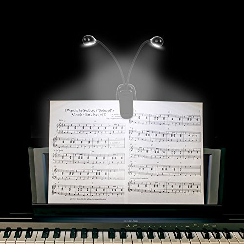 Music Stand Light, 1/2/4/10 Pack Clip on LED Book Lights, USB and AAA Battery Operated, Reading Lamp in Bed, 4 Brightness Levels, Ideal for Musician, Piano Player, Sheet Music, Travel (Dual Arm) - size: 1 Pack