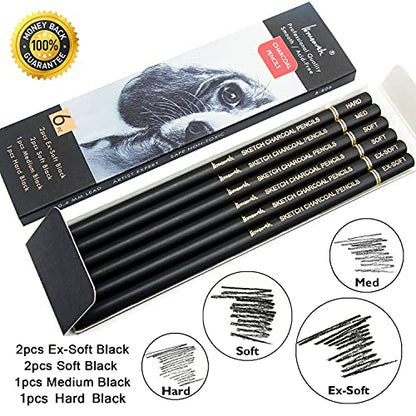 Brusarth Professional Charcoal Pencils Drawing Set - 6 Pieces Soft Medium and Hard Charcoal Pencils for Drawing, Sketching, Shading | Soft Medium and Hard Charcoal Pencils for Drawing, Sketching, Shading, Charcoal Pencils for Beginners & Artists - color: