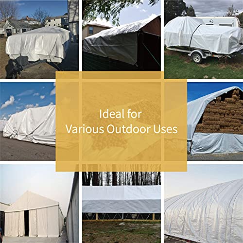 GUARD SHIELD Super Heavy Duty White Ploy Tarp Cover 20x30 Feet Waterproof Tarps 16mil Thick UV and Tear Resistant Tarpualin - color: White, size: 20x30