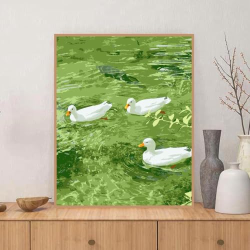 ZRIZQ Paint by Numbers Kit for Adults Beginner,Duck Summer,16x20 - color: 16"X20"Rolled Canvas(Frameless)-Duck 2