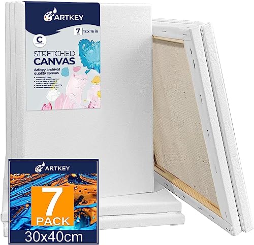 Stretched Canvases for Painting 12x16 Inch 7-Pack, 10 oz Triple Primed Acid-Free 100% Cotton Blank Canvas, Rectangular Canvas for Oil Paint Acrylics Pouring & Wet Art Media - size: 12"x16"(7-Pack), style: Studio