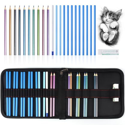 Professional Drawing Set,10 Colored Pencils,12 Graphite Pencils,Eraser,Case - color: Set-Metallic