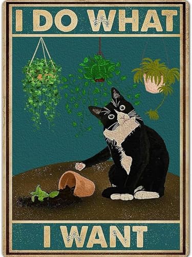 HHMATITS Cat Diamond Art Kits for Adults 12x16Inch - color: Cat-1