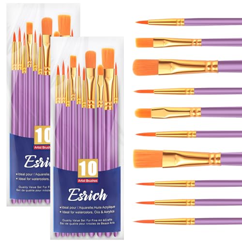 ESRICH Paint Brushes Set,2 Packs 20 Pcs Acrylic Paint Brush | Watercolor Oil Acrylic Nylon Hair Brushes, Artist Paintbrushes for Artist Professional Kits, Purple - color: Purple, size: 20
