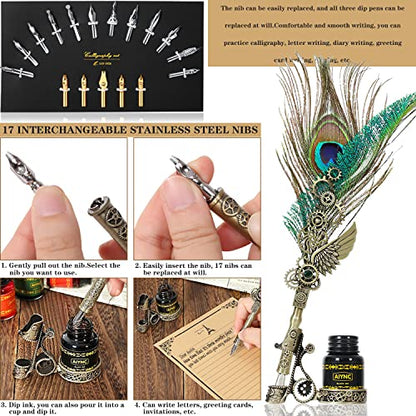 Quill Pen and Ink Set, Feather Pen Ink Set, Wax Seal Stamp Kit, Calligraphy Set, Valentine's Day Gifts for Writing Lovers Birthday Gifts, Ideal Calligraphy Gifts for Holidays(Peacock Feather) - color: Peacock Feather