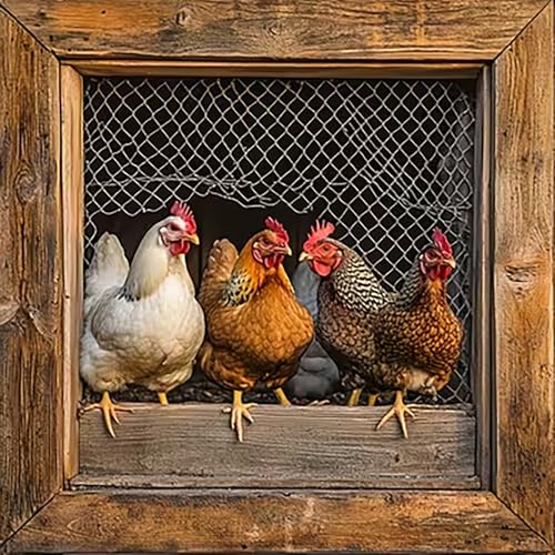 Diamond Art Kits for Adults,Chicken Coop Diamond Painting Kits for Beginner - color: Chicken