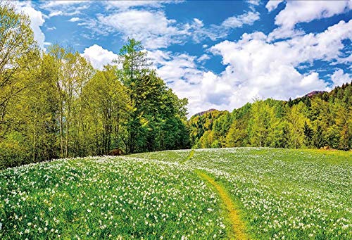 Countryside Farm Field Backdrop for Photography 5x3ft Spring Summer Scenery Green Meadow Sky Clouds Photo Background Party Outdoor Decoration Travel Picnic Cloth Portrait Photo Studio Props Vinyl - size: 5x3ft